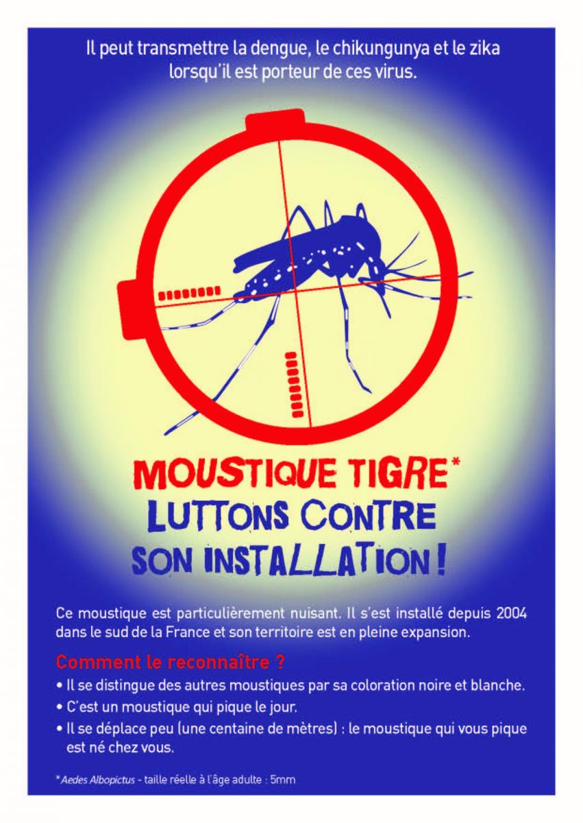 Le retour du moustique tigre en Drôme et en Ardèche - France Bleu