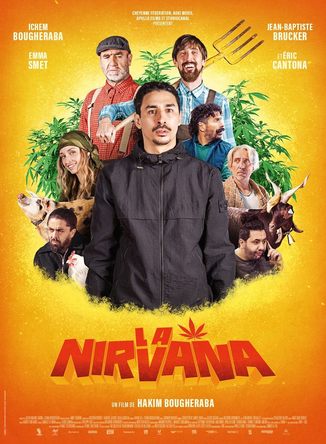 affiche du film la nirvana