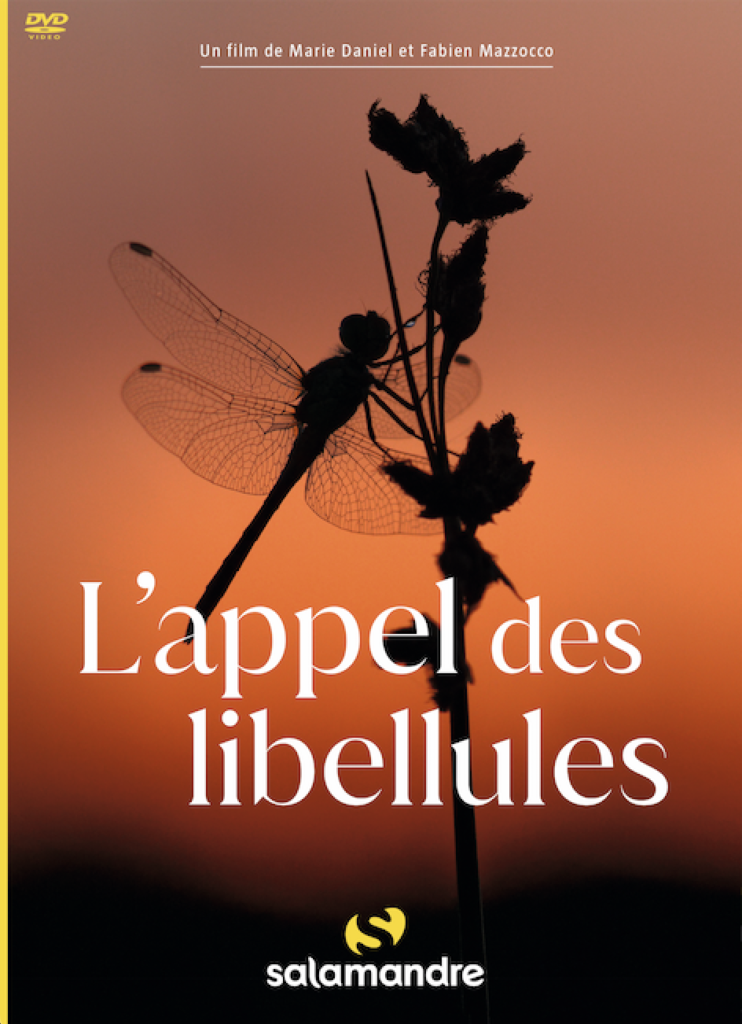 affiche du film l'appel des libellules 