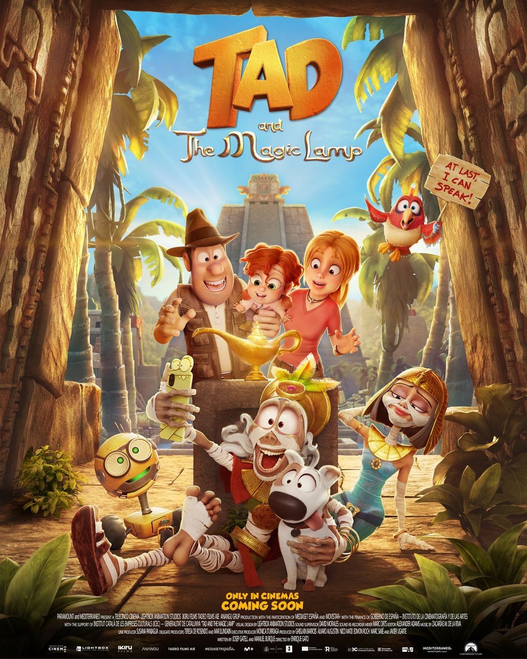 affiche du film tad