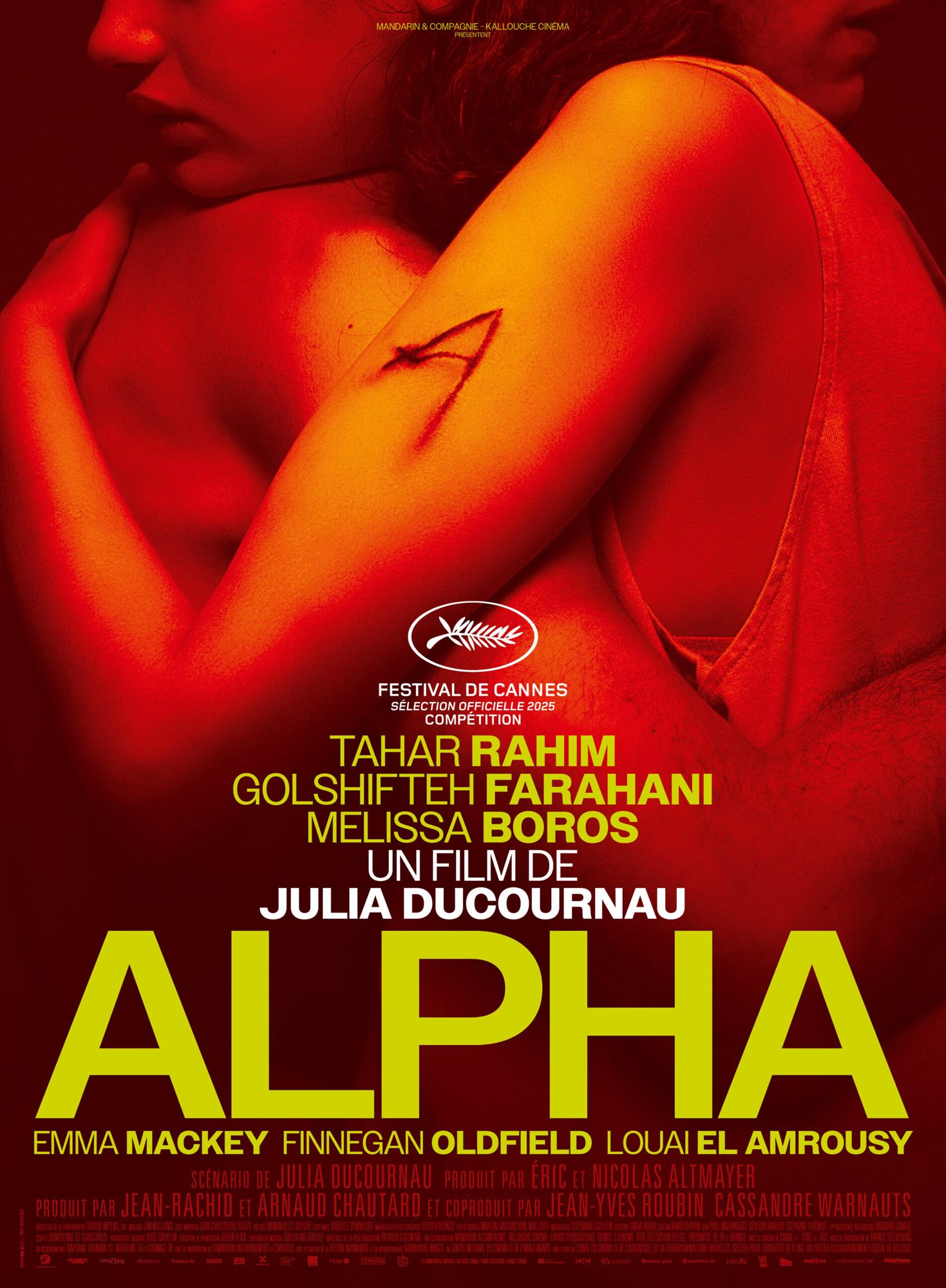 affiche du film a normal family