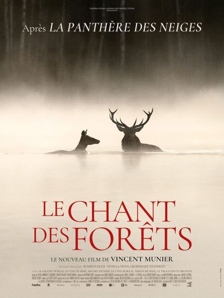 affiche du film le chant des forêts