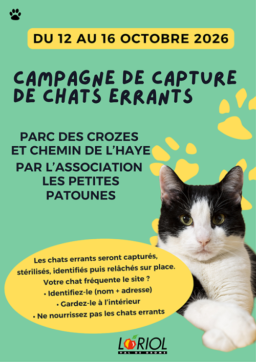 Campagne de capture de chats errants (1).png