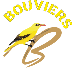
                                                            COULEUR_1_BIS_VECTEUR.png                                                        