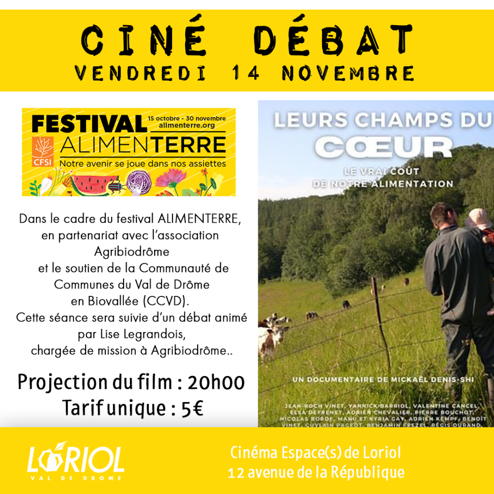 cinem_debat_14112025_copie.png